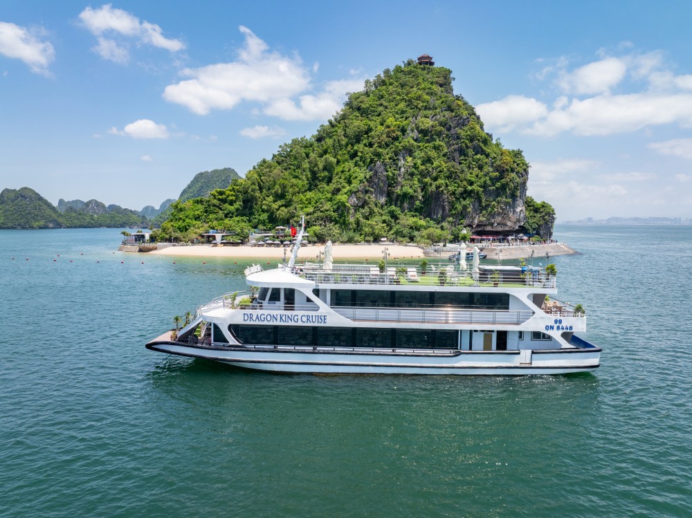 Dragon King 99 Cruise
