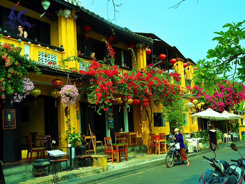 Vietnam Insight 12 Days Tour - Private tour - 29% off