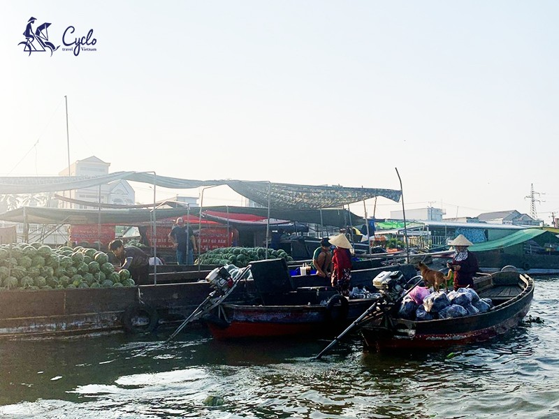 Essential Vietnam 10 Days 09 Nights Package Tour (small group tour) - 30% off