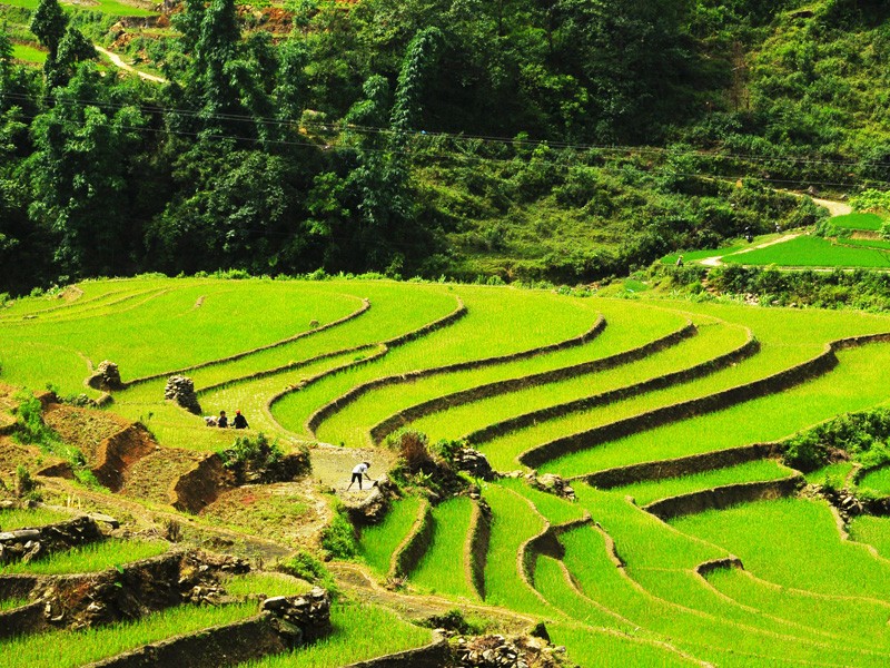 Sapa 3 Days 4 Nights Tour from Hanoi - Private tour - 25% off