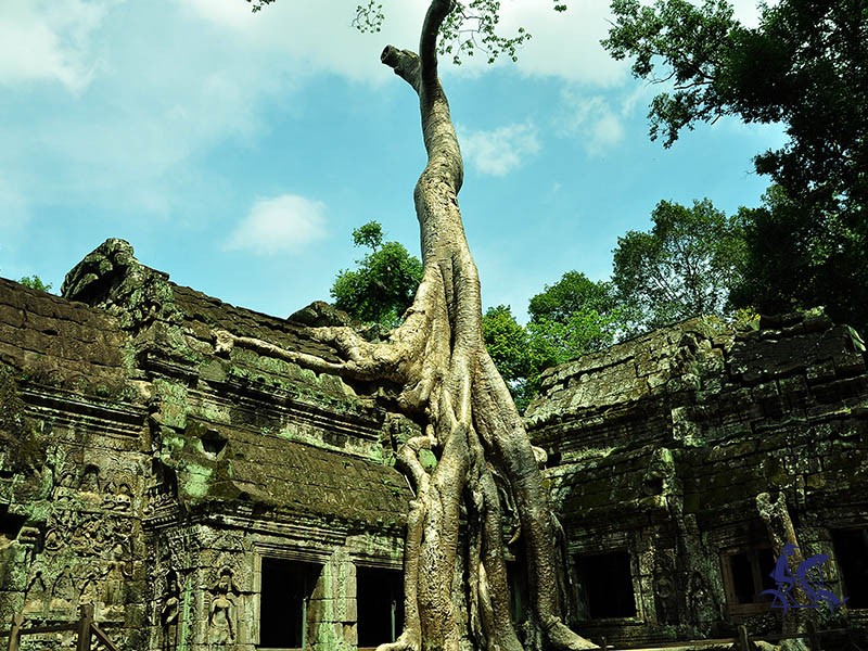 Explore Angkor Temples - 3 Days Tour - Private tour (special offers)