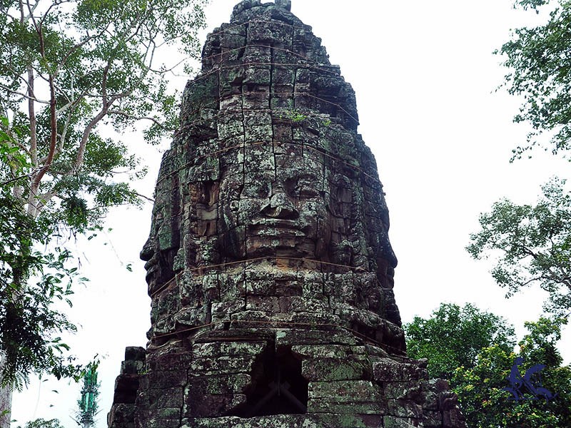 Angkor Wat - Angkor Thom - Ta Prohm  1 Day - Private tour