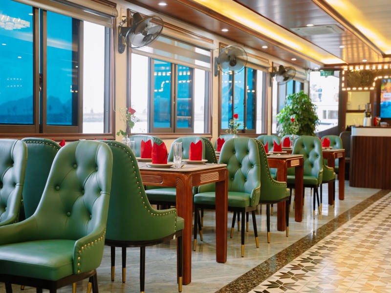 Dragon King 48 Cruise