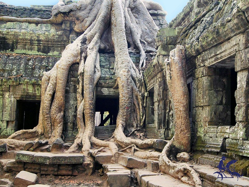 Essential Cambodia 6 Days Tour - Private tour - 30% off