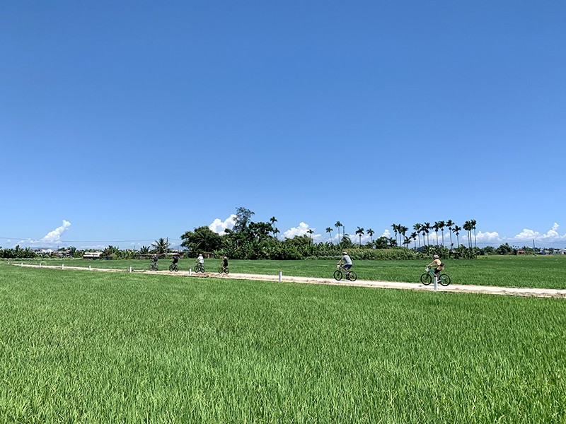 The Insights of Vietnam – 15 Days / 14 Nights Family Package Tour (Private Tour) - 25% off