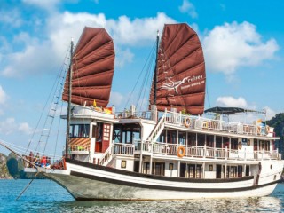 Swan Cruises - 40% off