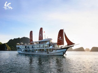 Adela Boutique Cruise - 35%