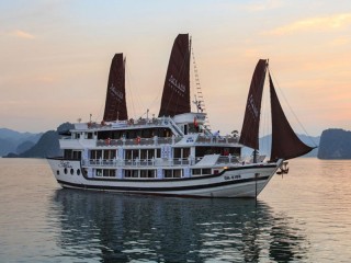 Stellar Cruise - 40% off