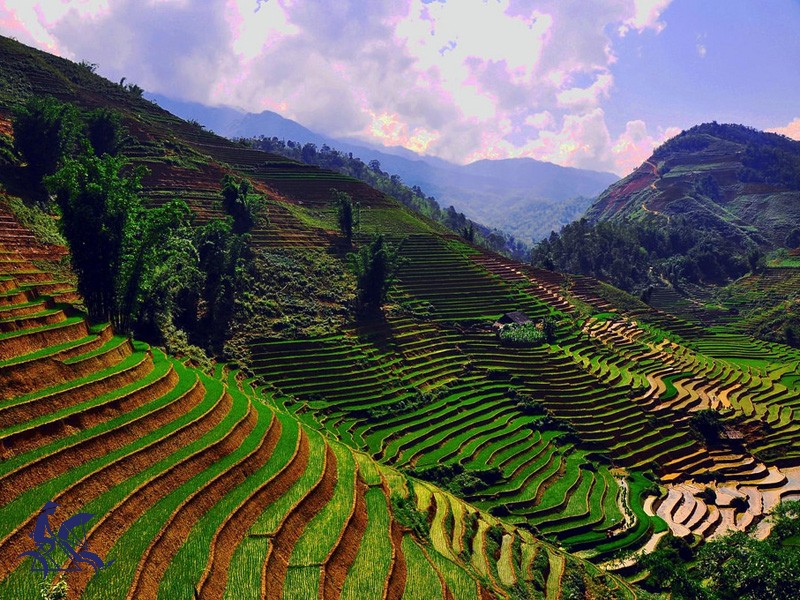 Amazing North-West Vietnam 7 Days Tour - Private tour - 25% off