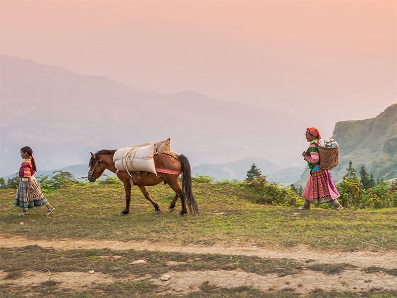 Best of North Vietnam 10 Days Tour - Private tour - 30% off
