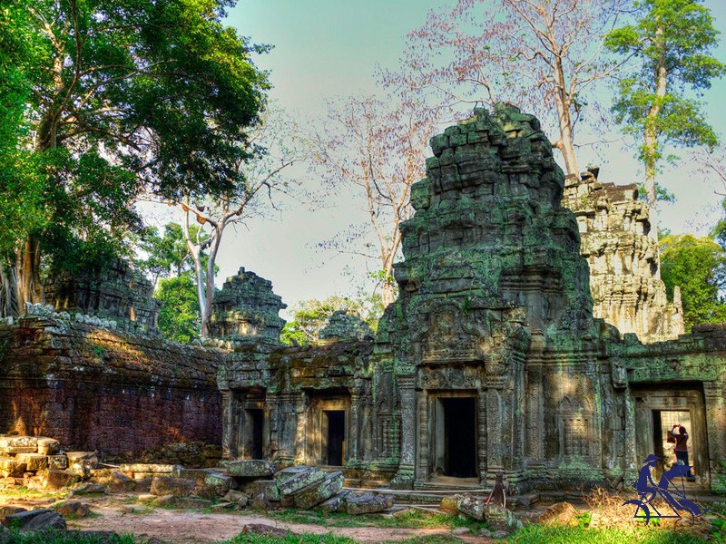 Angkor Wat - Angkor Thom - Ta Prohm  1 Day - Private tour
