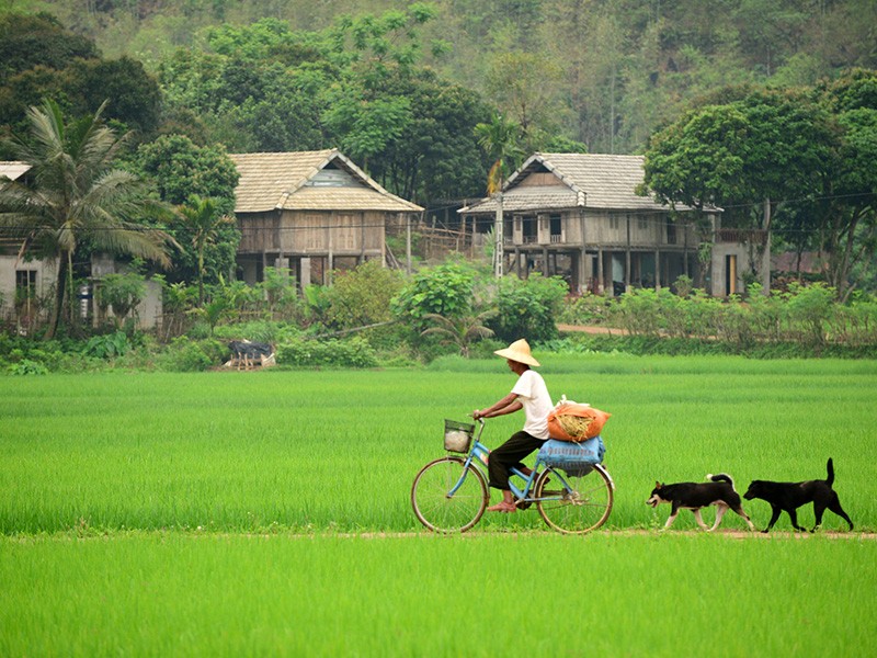 Vietnam Holiday For Kids 10 Days - Private tour - 25% off
